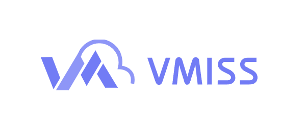 vmiss中国香港优化BGPⅡ测评